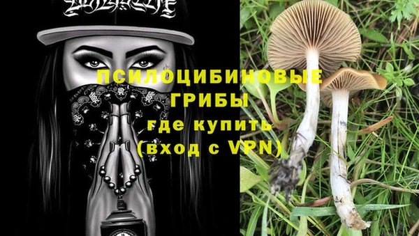 твердый Алексеевка
