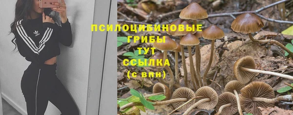 наркотики Алексин