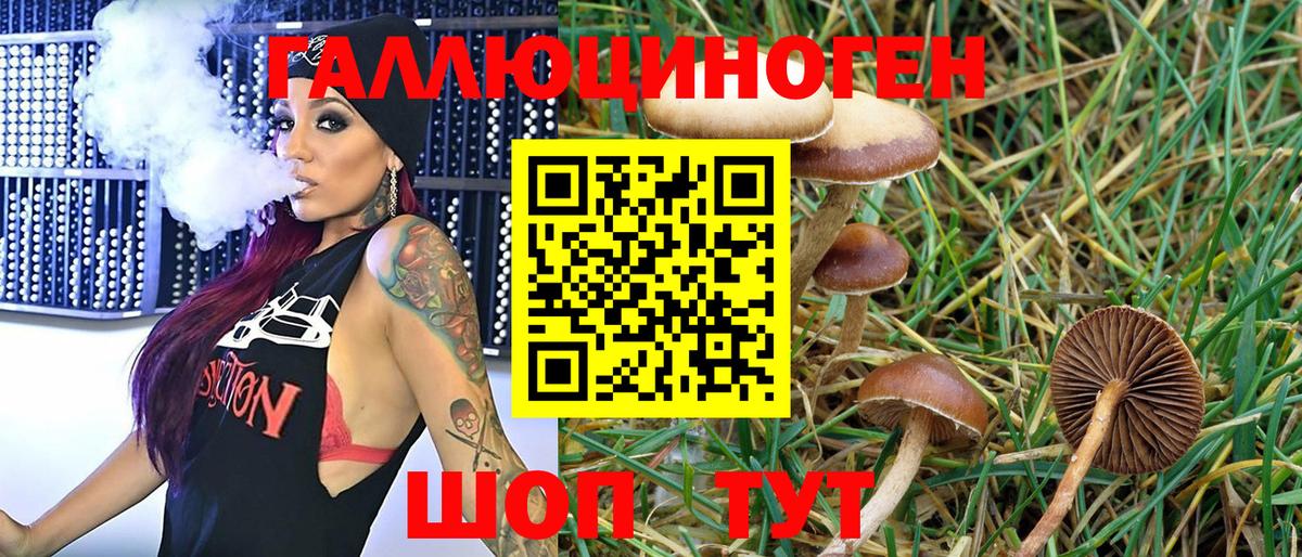 Псилоцибиновые грибы мицелий  Псилоцибиновые грибы GOLDEN TEACHER  Кохма  где продают наркотики  Вход с VPN 