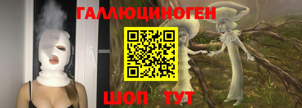 Псилоцибиновые грибы Psilocybe Кохма