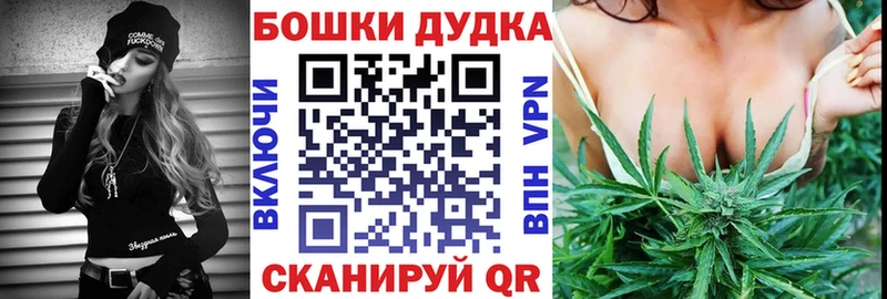 Конопля планчик Кохма